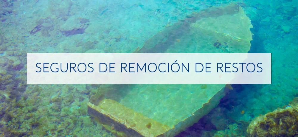 seguro-de-remocion-de-restos-para-barcos